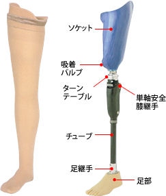 大腿義足　吸着式